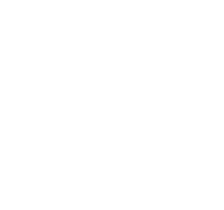 Le Vigs